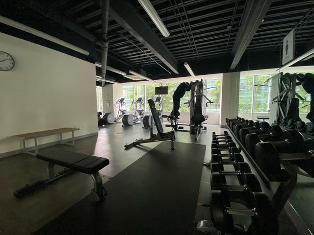 Foto de la galeria de imagenes